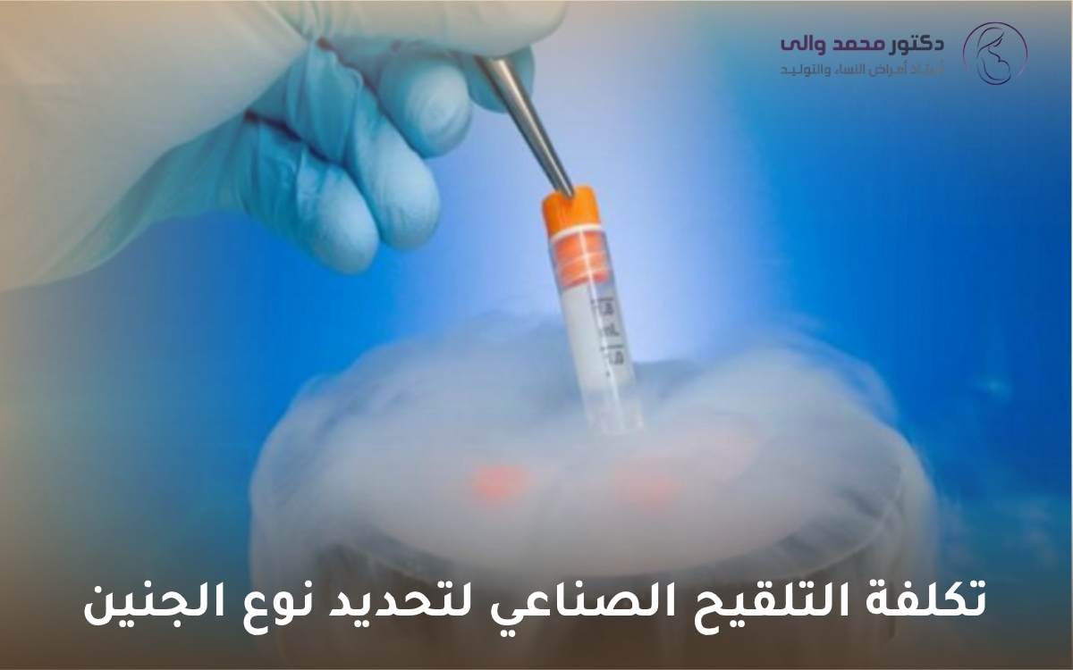تكلفة التلقيح الصناعي لتحديد نوع الجنين تكلفة التلقيح الصناعي لتحديد نوع الجنين