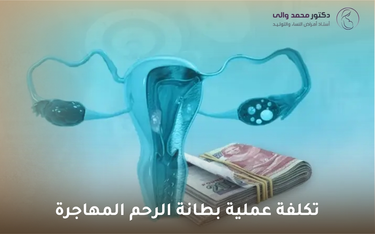 تكلفة عملية بطانة الرحم المهاجرة تكلفة عملية بطانة الرحم المهاجرة
