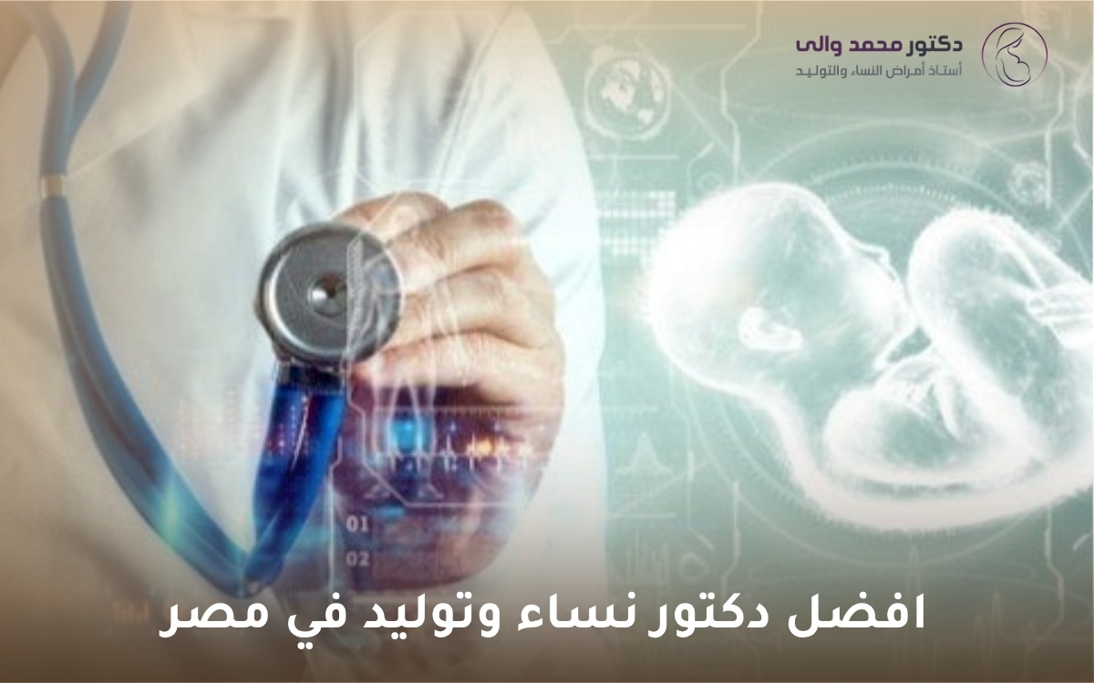 افضل دكتور نساء وتوليد في مصر افضل دكتور نساء وتوليد في مصر