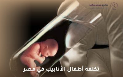 تكلفة أطفال الأنابيب في مصر: دليل شامل للراغبين في الإنجاب
