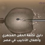 تكلفة الحقن المجهري وأطفال الأنابيب في مصر