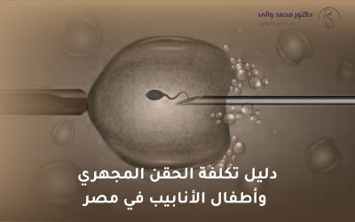 دليل تكلفة الحقن المجهري وأطفال الأنابيب في مصر