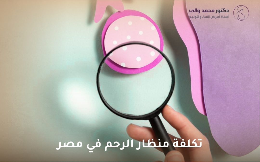 دليل منظار الرحم